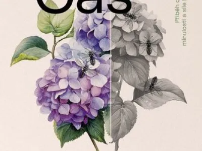 Čas vos