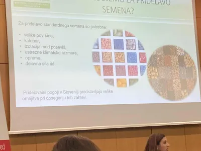Foto č. 15