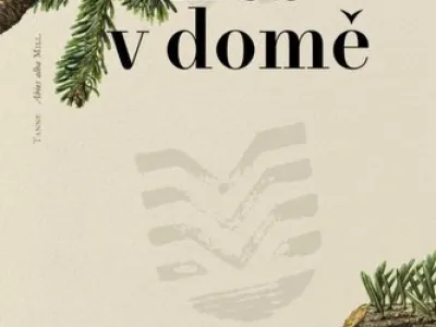 Les v domě