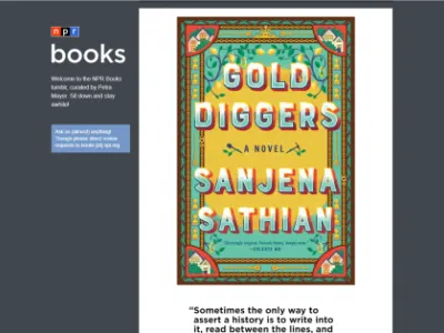 Tumglr - příklad využití k propagaci knihy Tumglr - příklad využití k propagaci knihy