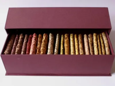 Ukázka tvorby: Barbora Kšicová, Podzimní vzorník 2009