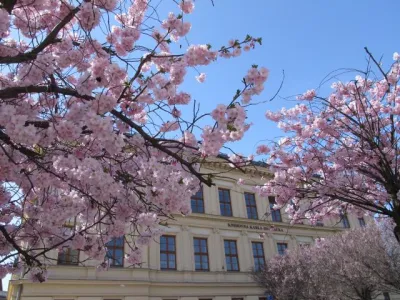 Knihovna Karla Dvořáčka ve Vyškově Knihovna Karla Dvořáčka ve Vyškově