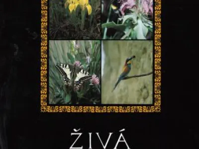 Živá příroda